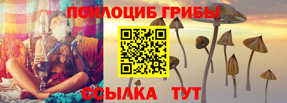 Галлюциногенные грибы Magic Shrooms  Вход с VPN  Кубинка  Галлюциногенные грибы Psilocybe 